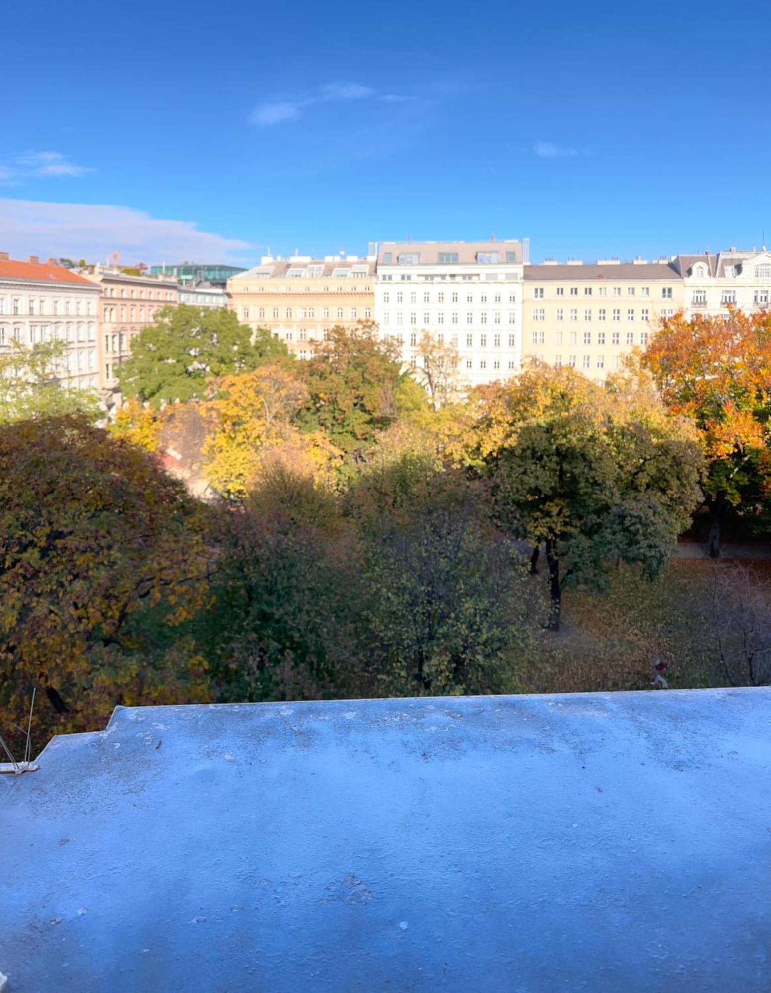 Parkview Rudolfsplatz Apartment Виена Екстериор снимка